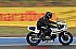 coyote 2009 252.JPG coyote 2009 252.JPG